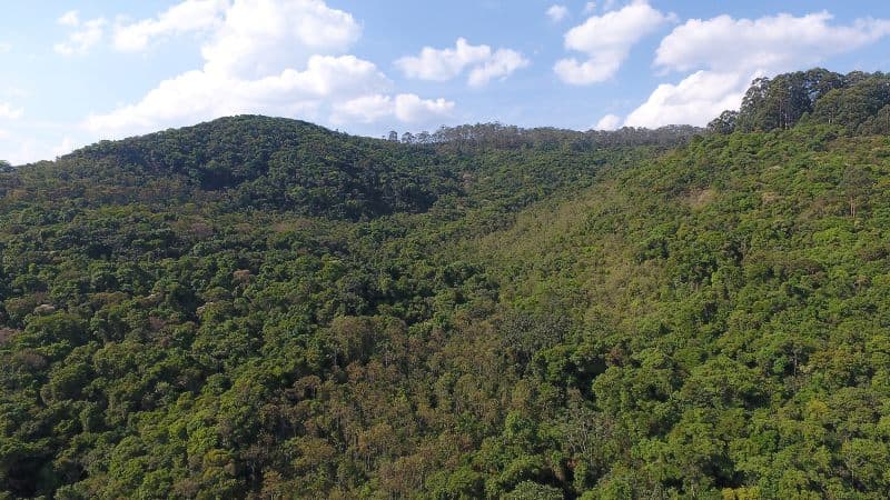 Alcoa reabilita 24 ha de áreas mineradas em Poços de Caldas (MG)