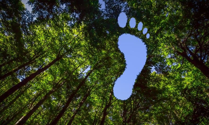 Alumínio brasileiro tem baixa pegada de carbono: entenda o que isso significa