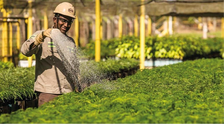 MRN divulga Relatório de Sustentabilidade 2020