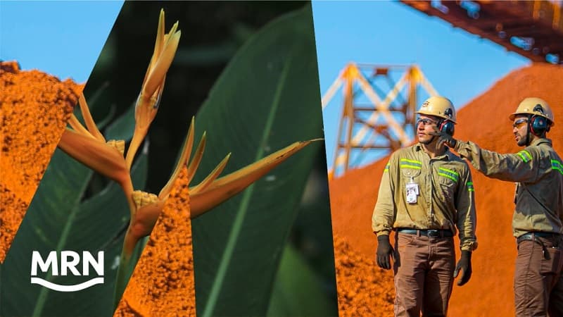 MRN lança nova marca para reforçar atuação sustentável na Amazônia