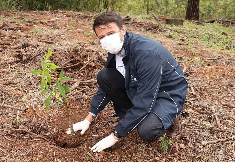 Alcoa inicia 4ª edição do projeto Floresta de Bolso em Poços de Caldas (MG)