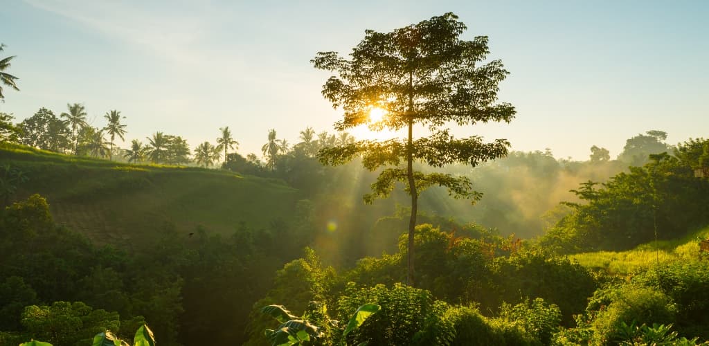 Novelis adere à iniciativa de descarbonização First Movers Coalition (FMC)