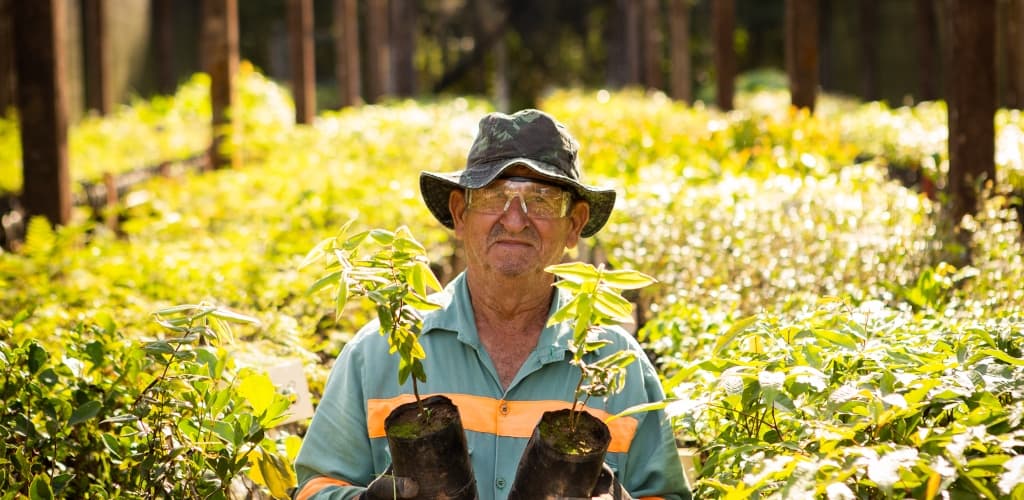 Entenda como funciona o processo sustentável de mineração de bauxita da Alcoa