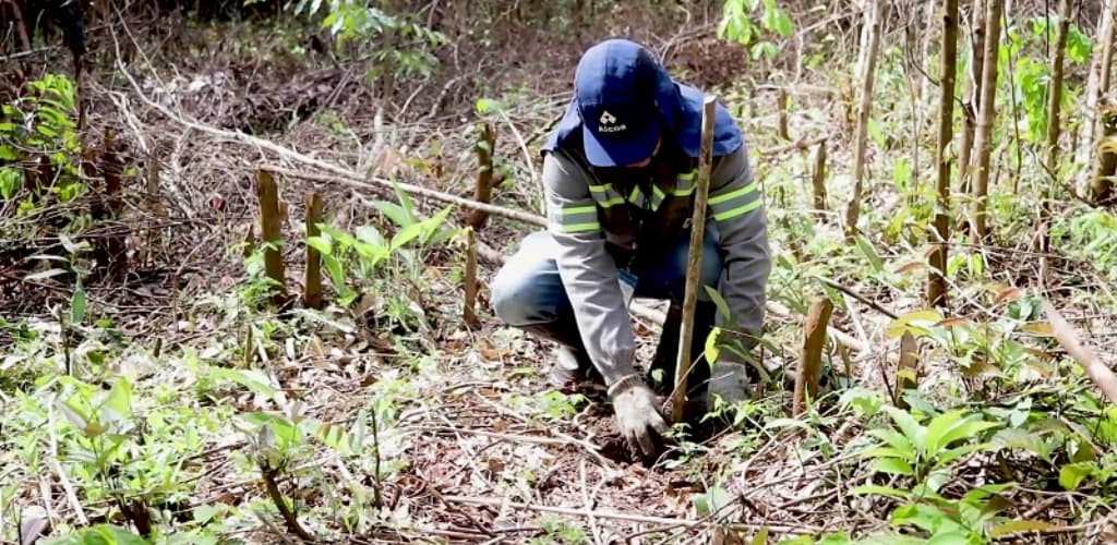 Alcoa pretende zerar emissões líquidas de gases de efeito estufa até 2050