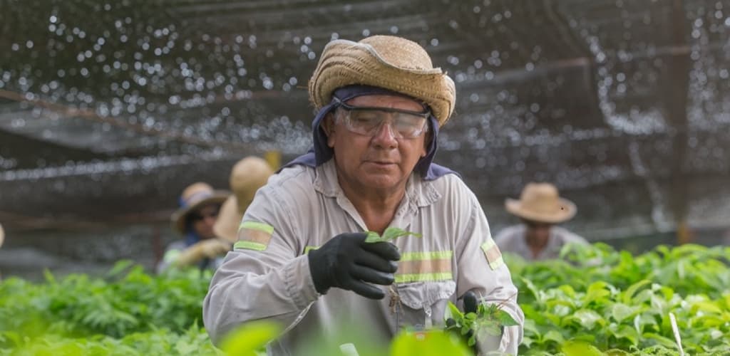 MRN reforça operação responsável em ‘Relatório de Sustentabilidade’