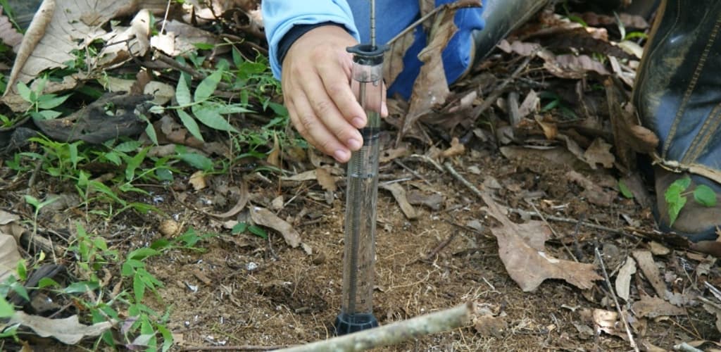 CBA divulga resultados iniciais de estudo inédito em áreas mineradas