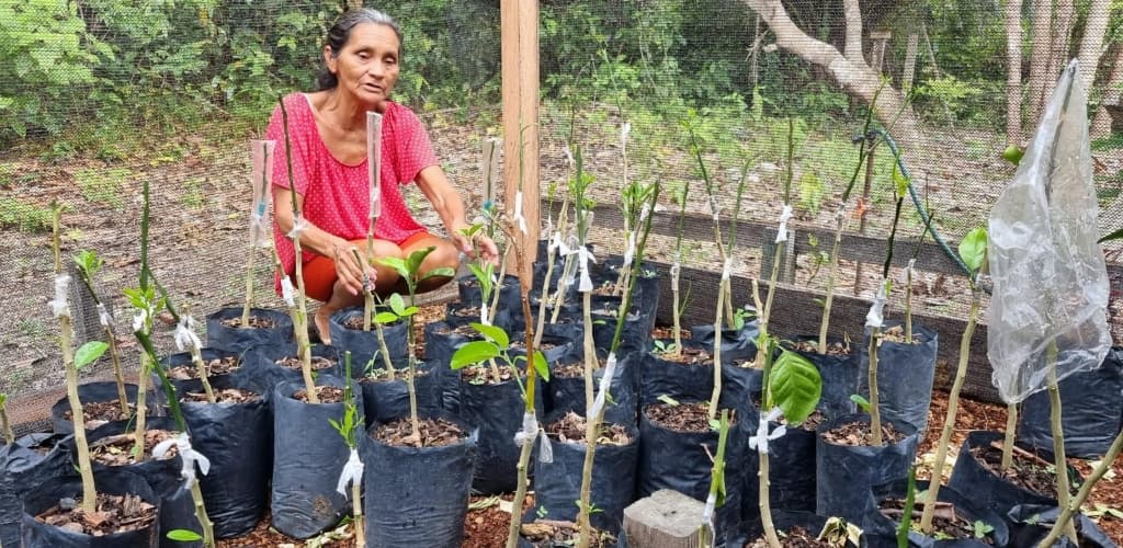 Projeto da MRN incentiva geração de renda e preservação ambiental no Pará