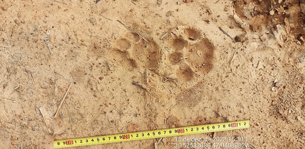 Hydro impulsiona projeto Fauna Sustentável no Pará