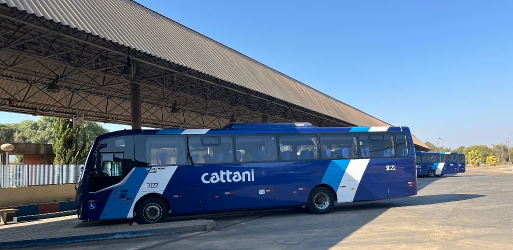 Alcoa e Cattani neutralizam quase 300 t de emissões de carbono na unidade de Poços de Caldas