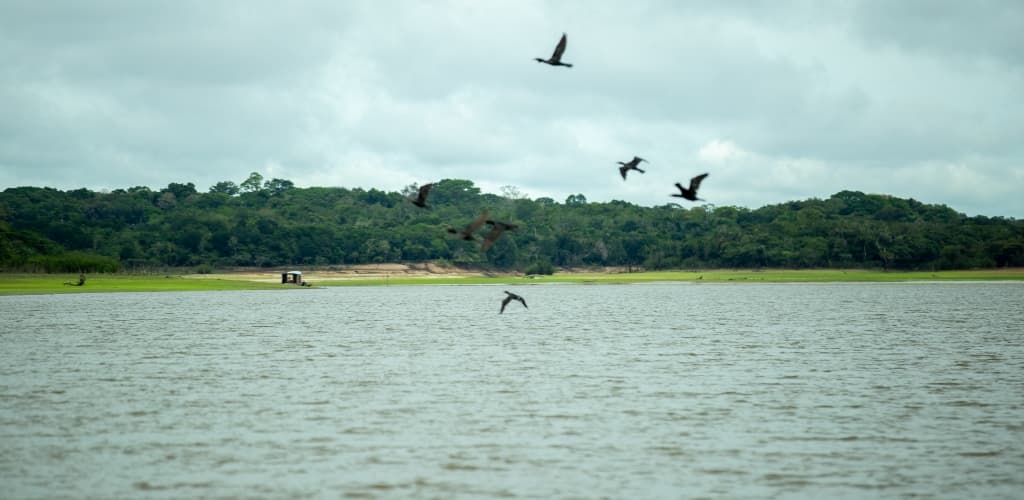 Restauração do Lago Batata: exemplo de mineração sustentável