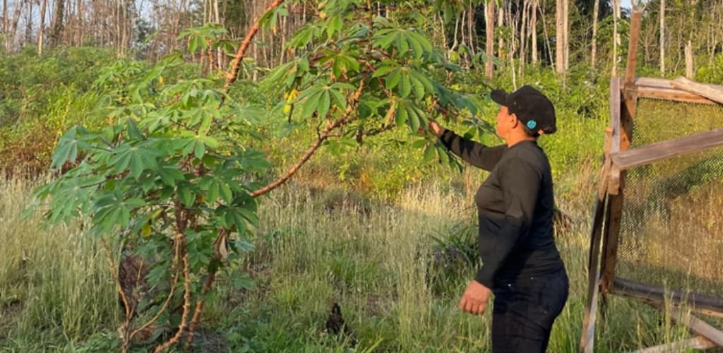 Hydro participa do 11º Festival da Maniçoba em Moju, no Pará