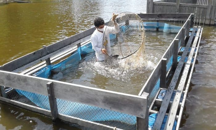 MRN: projeto de piscicultura é destaque em congresso de sustentabilidade