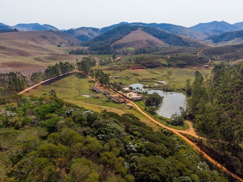Estudos conduzidos pela CBA e UFV são destaque internacional