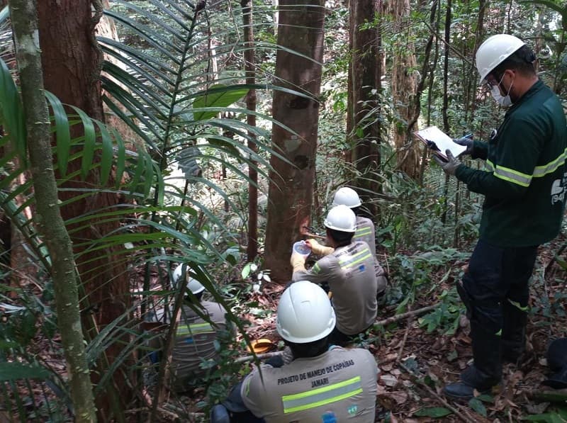 Projeto Manejo de Copaíba, da MRN, promove a capacitação e geração de renda para comunidades quilombolas