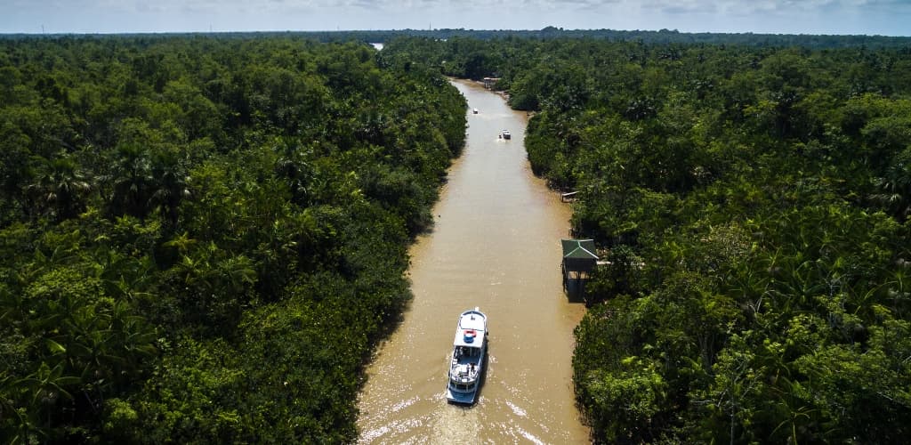 Hydro investe R$ 2,7 milhões em estudo sobre biodiversidade aquática no Pará