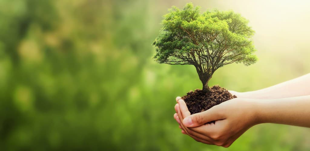 CBA adere ao Movimento Ambição Net Zero do Pacto Global da ONU