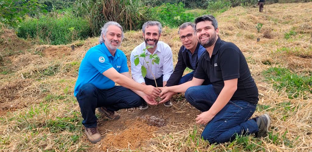 CBA planta cerca de 500 mudas de espécies nativas em Minas Gerais