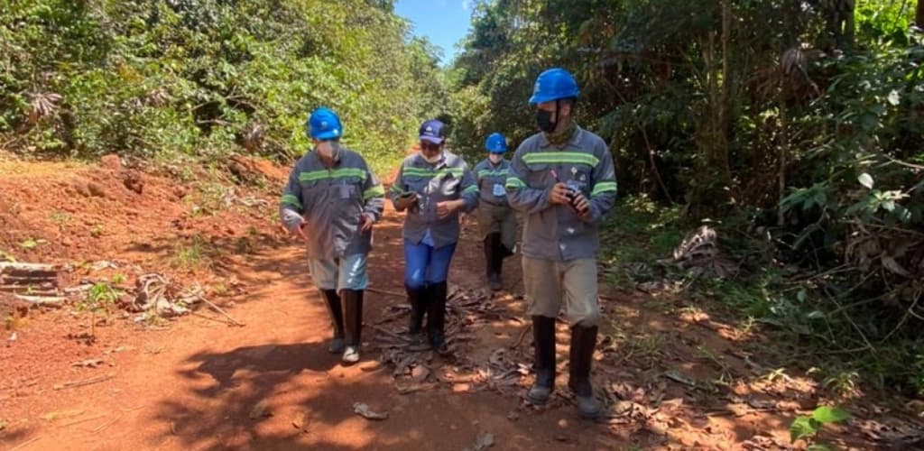 Alcoa firma convênio com a USP para atualizar Plano de Ação de Biodiversidade de Juruti (PA)