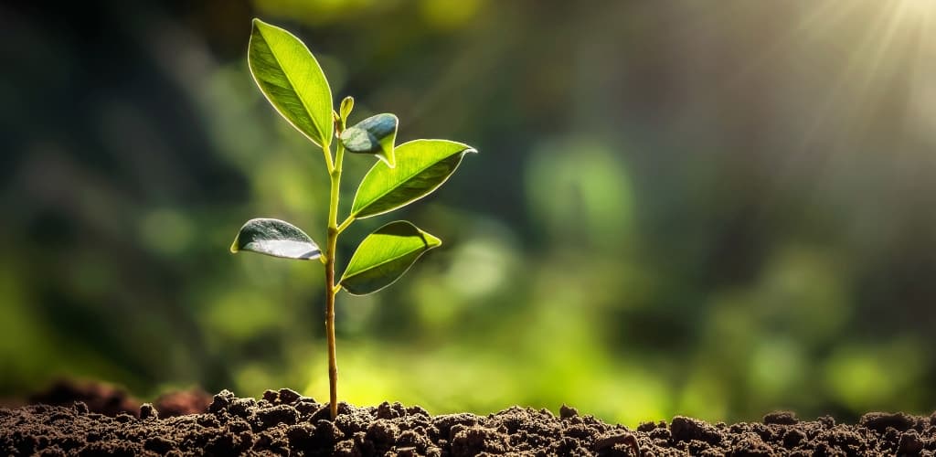 Programa “Mineração e Desenvolvimento” da Finep é apresentado no 1º Fórum de Inovação e Sustentabilidade da ABAL