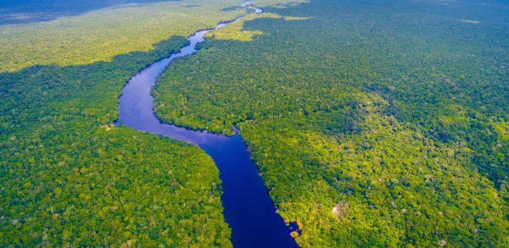 Conheça as ações responsáveis das mineradoras de bauxita na região da Amazônia