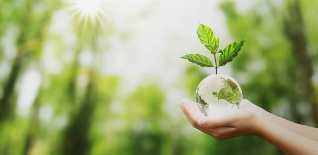 CBA reforça compromisso com produção sustentável no Fórum TNFD