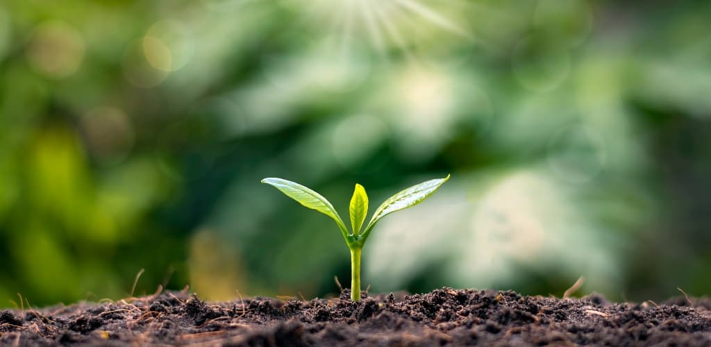 Artigo: contribuições da indústria do alumínio para redução das emissões de carbono