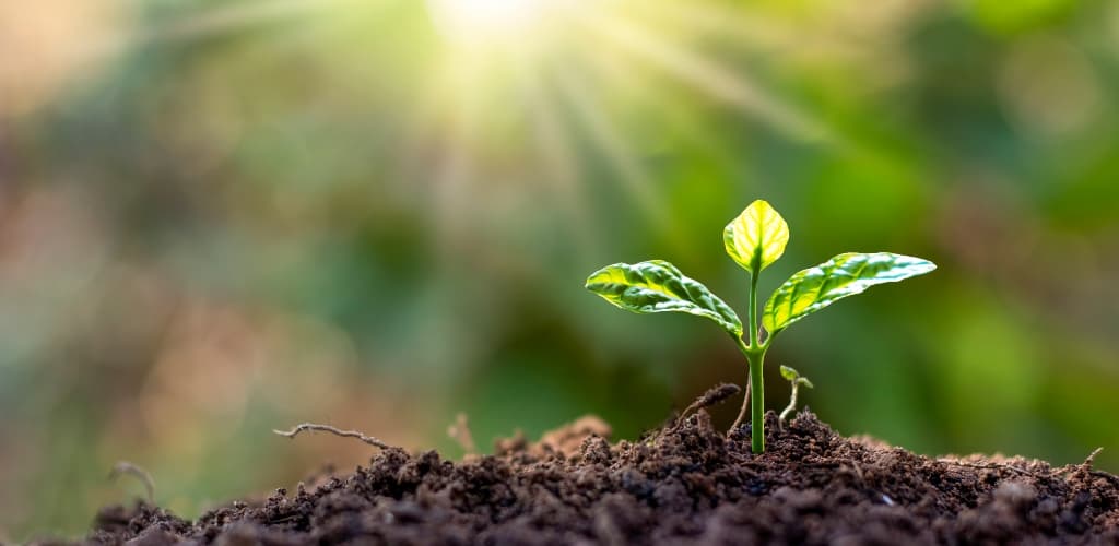 Hydro aposta em diversos projetos para transição energética em suas operações