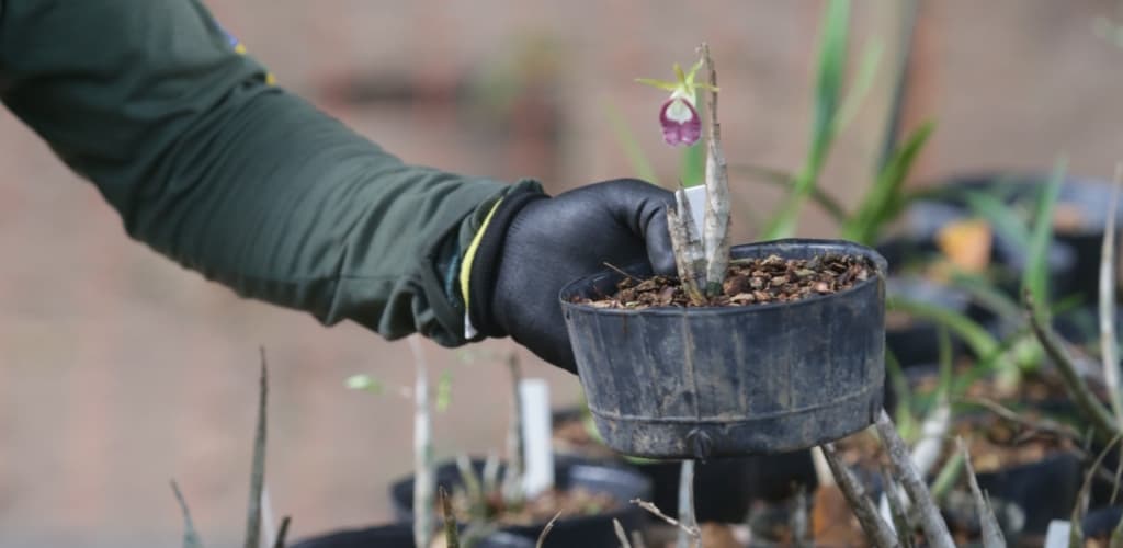 MRN conquista Selo Ouro por destaque na gestão de emissões de gases de efeito estufa