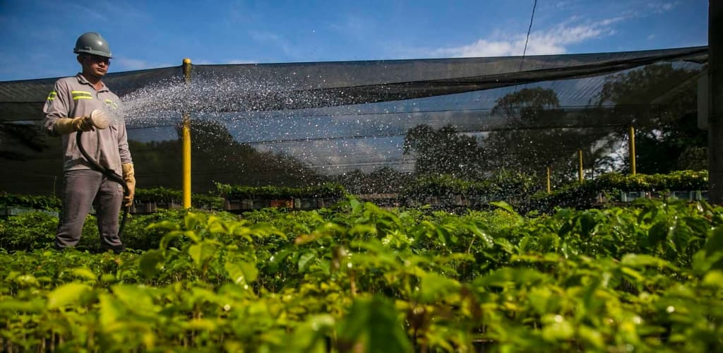 MRN reafirma compromisso com a sustentabilidade ao renovar certificações ASI