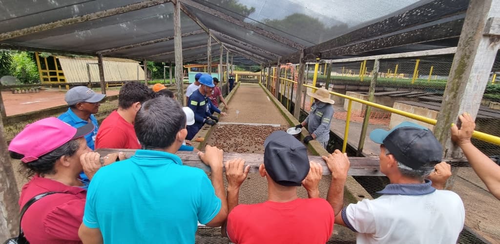 Coletores de sementes visitam MRN no Pará