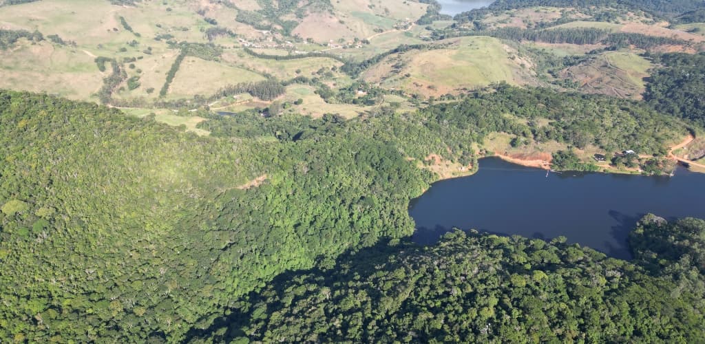 CBA impulsiona a preservação da Mata Atlântica na Zona da Mata Mineira