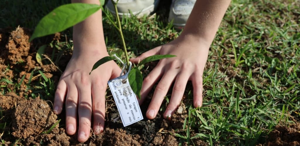 Parque da Hydro recebe alunos para fortalecer consciência ambiental