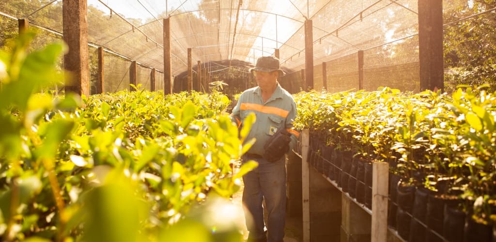 Alcoa Poços de Caldas reforça compromisso com sustentabilidade