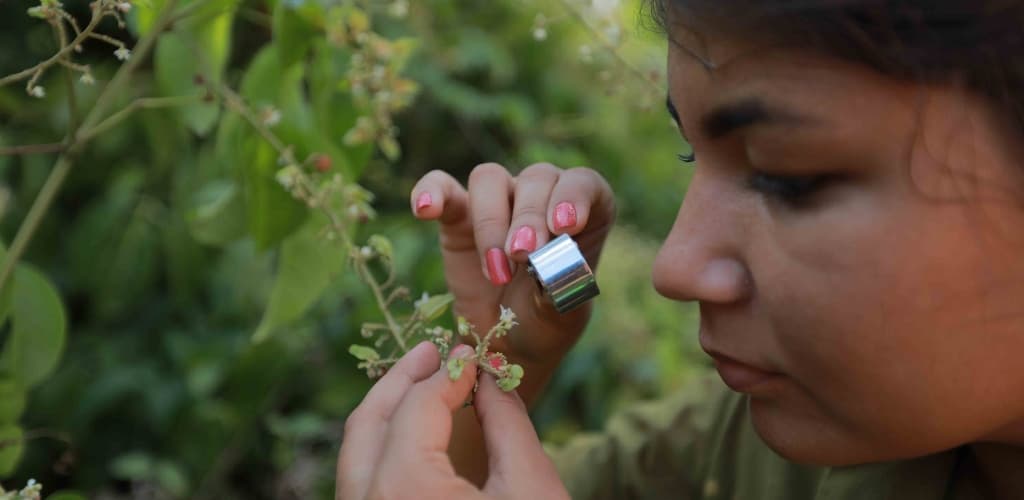 Hydro e ITV unem forças para proteger a biodiversidade