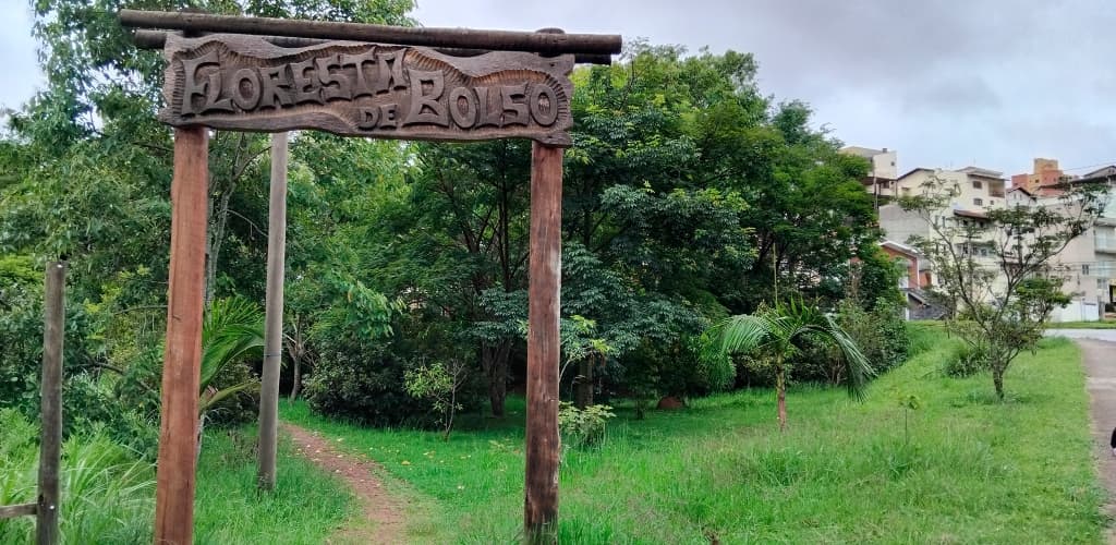Floresta de Bolso: sete anos plantando futuro em Minas Gerais