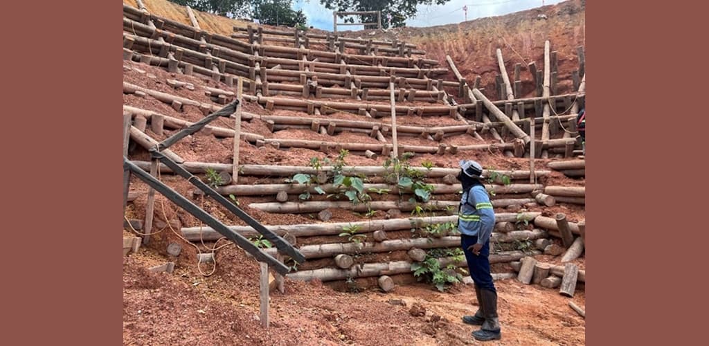 Hydro usa a própria natureza para recuperar a Amazônia