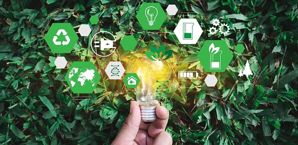 Representantes de municípios e catadores debatem contratação e nova norma para capacitação da Recicla Latas