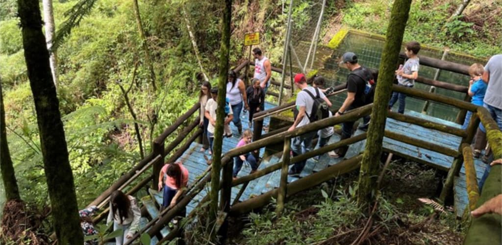 Parque da Alcoa em Poços de Caldas comemora 32 anos de legado na conservação da Mata Atlântica