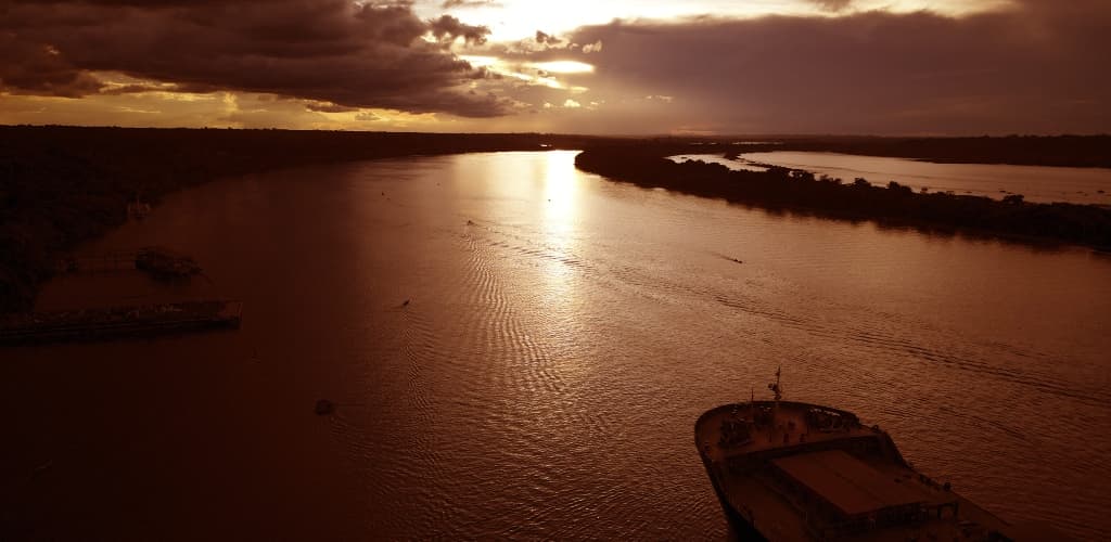 MRN atinge mais de R$ 42 milhões em investimento social e mais de meio milhão de mudas de plantas em 2024