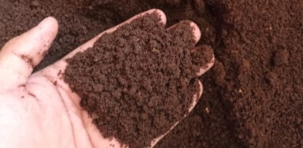 Hydro transforma resíduos em solo fértil e refloresta área no Pará